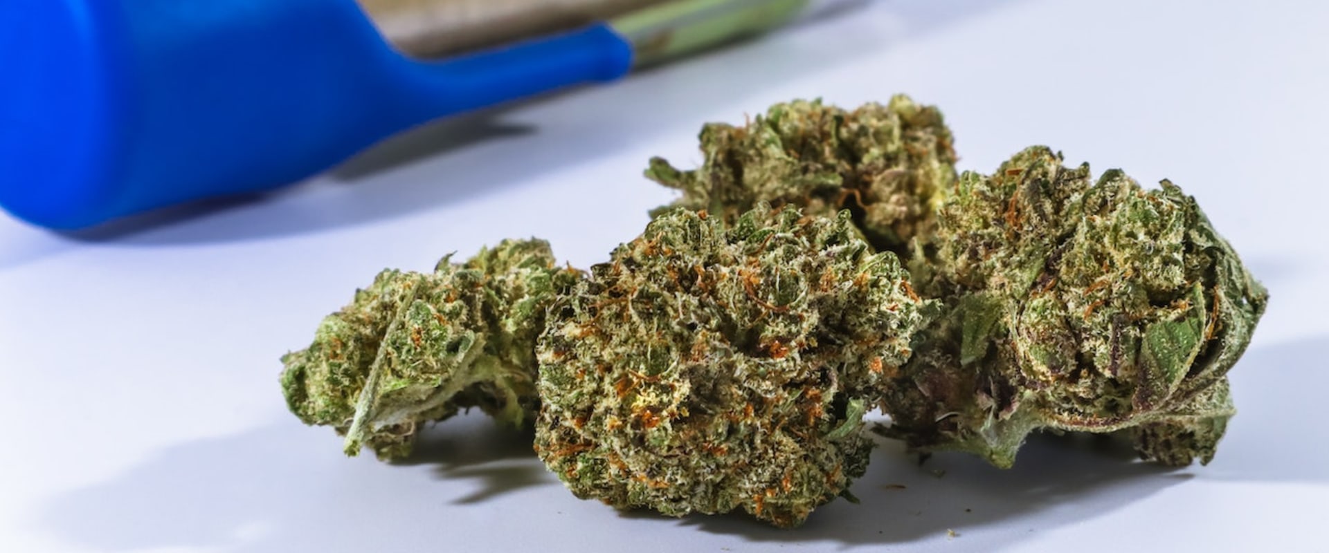 Mac 1 Flower Pre-Roll Vs. Sativa In Queens: Which One Should You Choose?