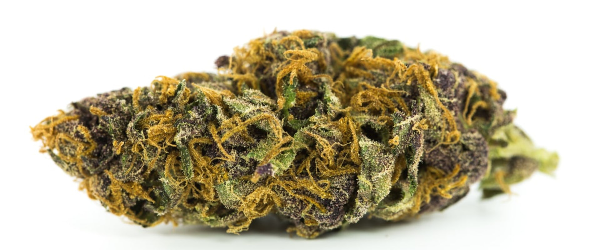 Is sativa or indica better for arthritis pain?