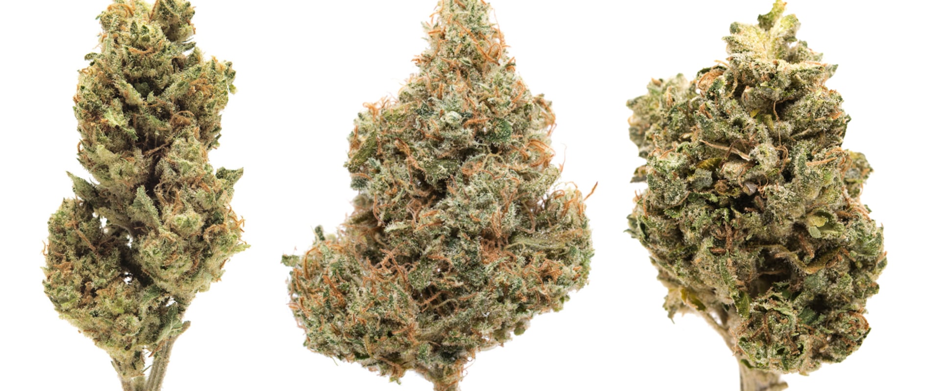 Can sativa be calming?