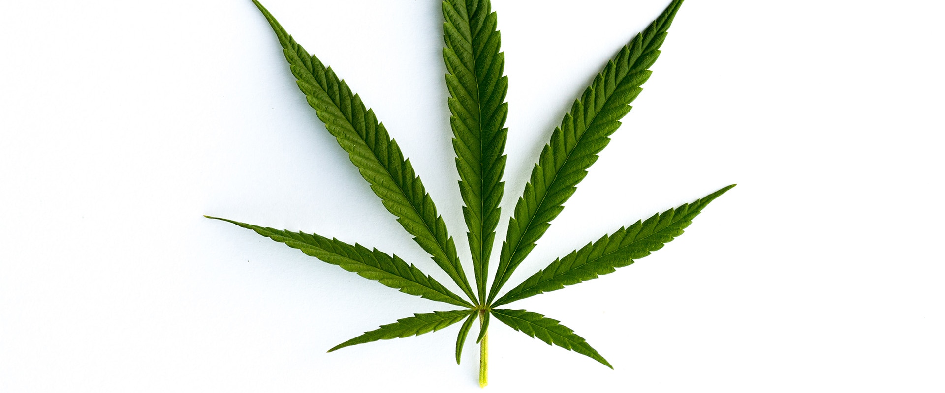 Will sativa help headache?