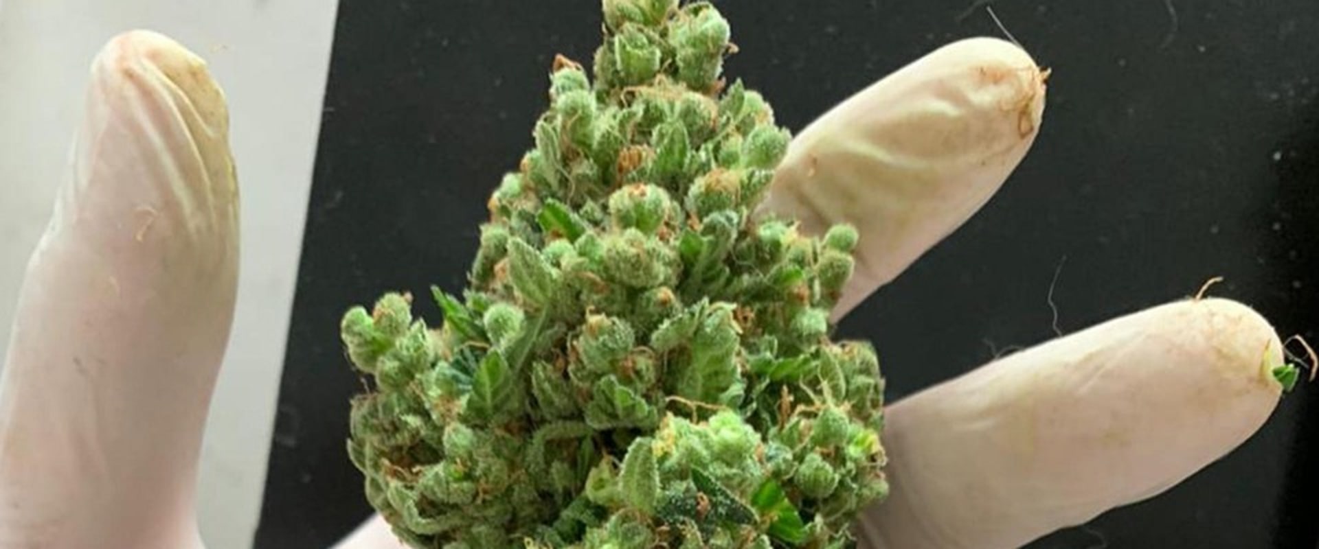 Understanding Sativa's Role in Inpatient Treatment