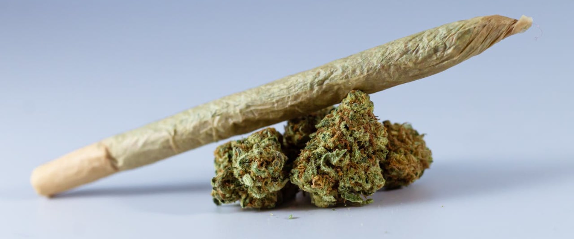 Perks Of Buying Sativa From A Professional Dispensary In Ferndale, MI