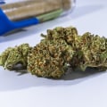 Mac 1 Flower Pre-Roll Vs. Sativa In Queens: Which One Should You Choose?