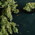 Why does smoking sativa make me sleepy?