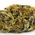 Is sativa or indica better for arthritis pain?