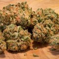 What are the negative effects of sativa?