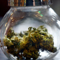 Can sativa make you angry?