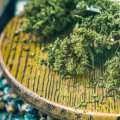 The Benefits Of Sativa