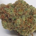 Is sativa good for anxiety and depression?
