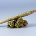 Perks Of Buying Sativa From A Professional Dispensary In Ferndale, MI