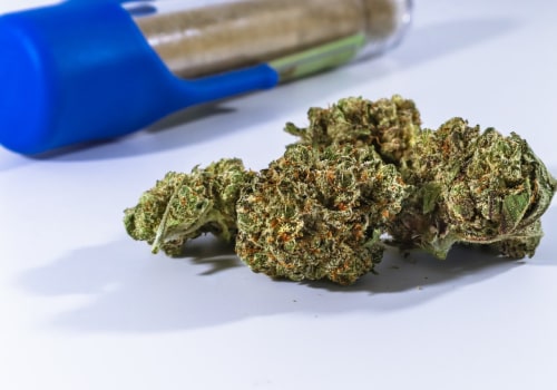 Mac 1 Flower Pre-Roll Vs. Sativa In Queens: Which One Should You Choose?