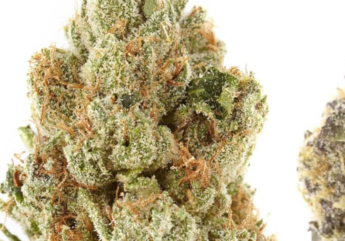 Does sativa or indica really make a difference?