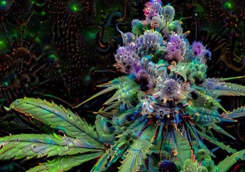 What sativa strain is the strongest?