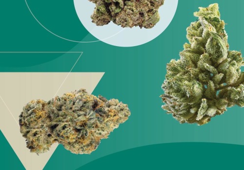Whats a stronger high sativa or indica?