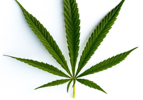 Will sativa help headache?