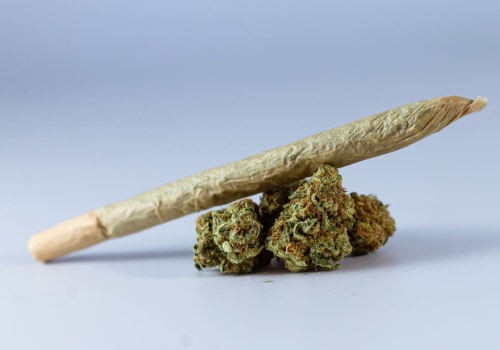 Perks Of Buying Sativa From A Professional Dispensary In Ferndale, MI